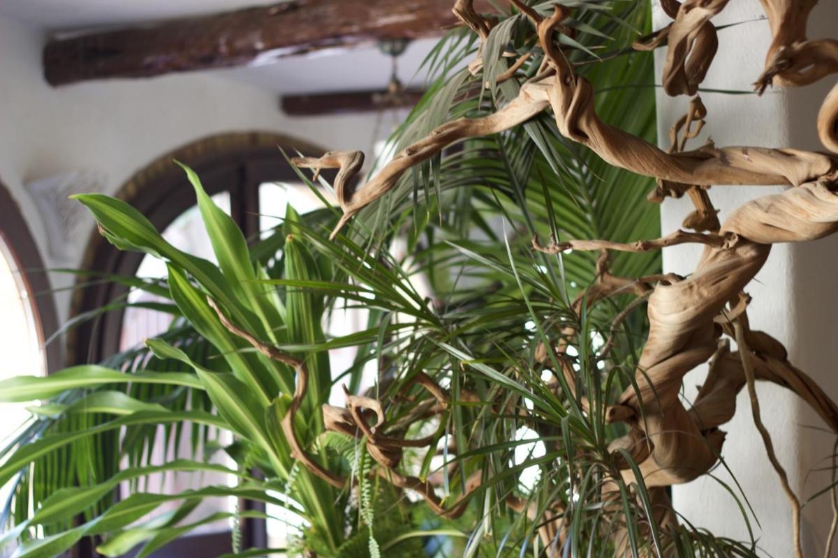 Domuseo Bed & Breakfast Quartucciu Exterior foto